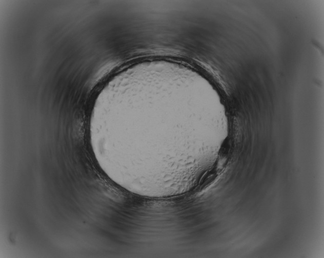 X0000091371163200709071319