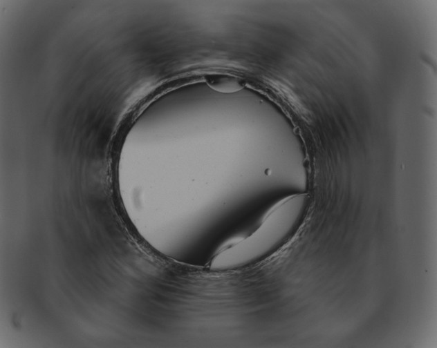 X0000091371164200709071319