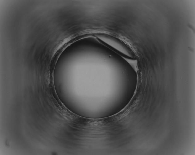 X0000091371165200709071319