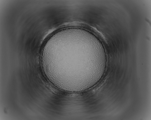 X0000091371166200709071319