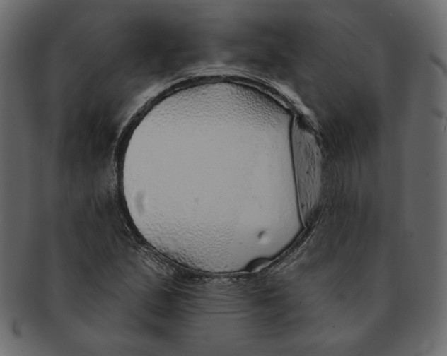 X0000091371167200709071319