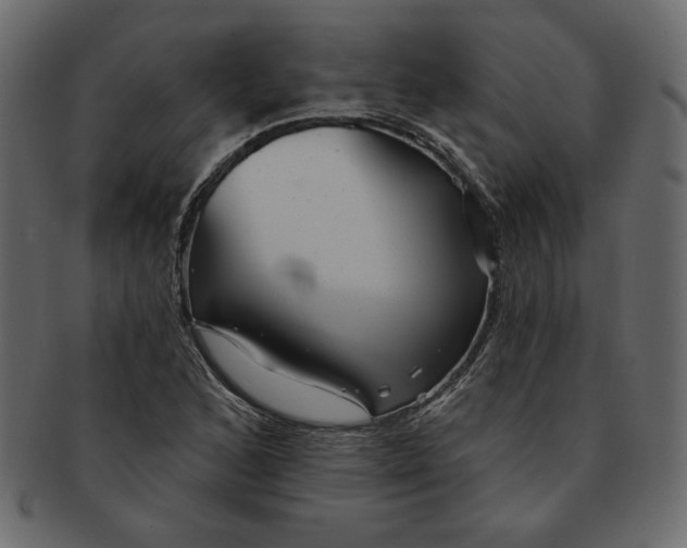 X0000091371168200709071319