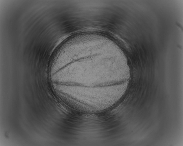 X0000091371170200709071319