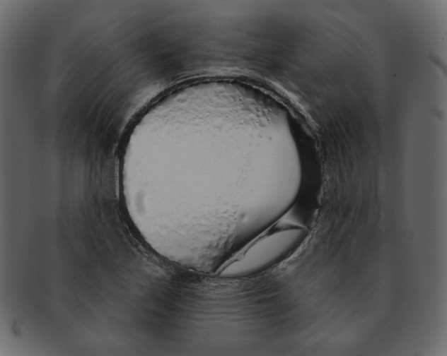 X0000091371171200709071319