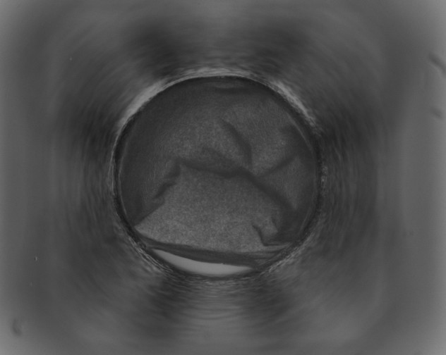 X0000091371173200709071319