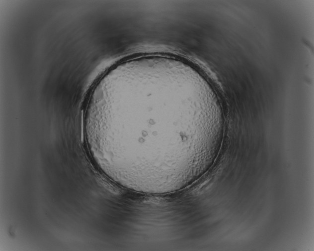 X0000091371175200709071319