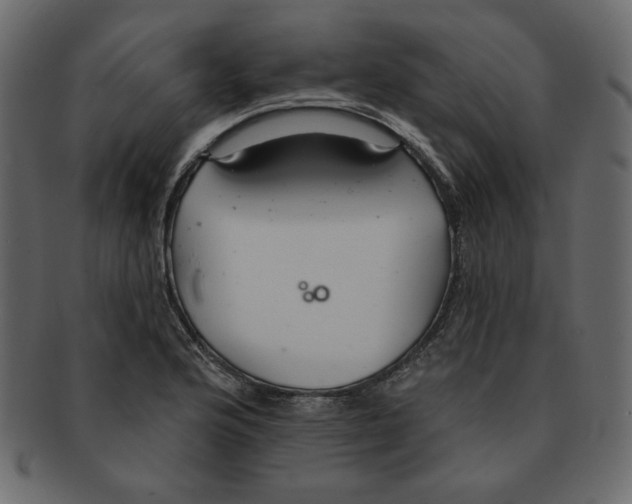 X0000091371176200709071319