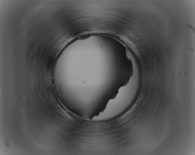 X0000091371177200709071319