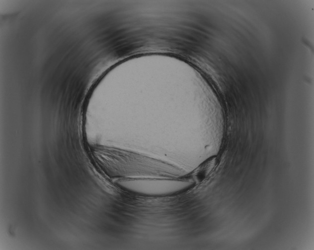 X0000091371179200709071319