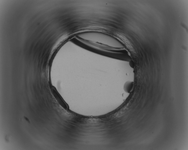 X0000091371180200709071319