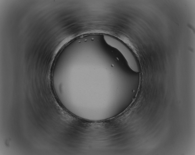 X0000091371181200709071319