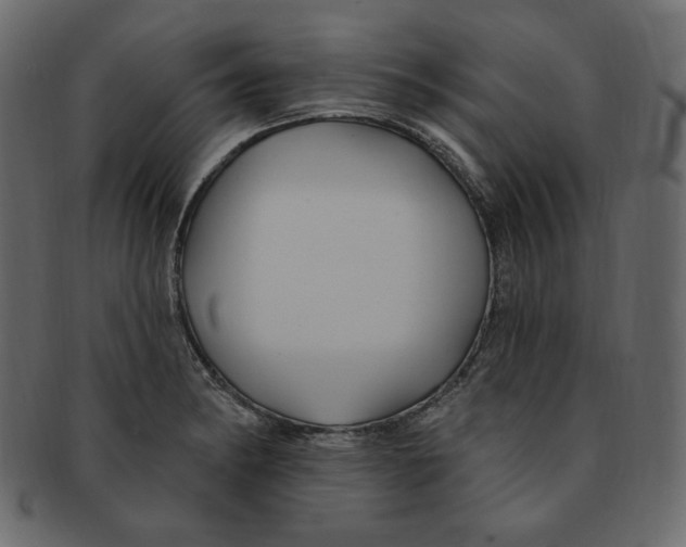 X0000091371182200709071319