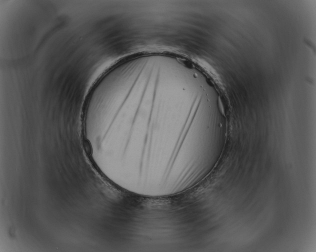 X0000091371183200709071319