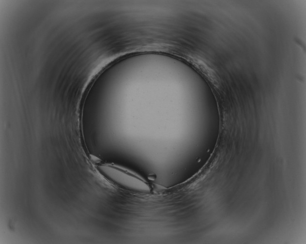 X0000091371184200709071319