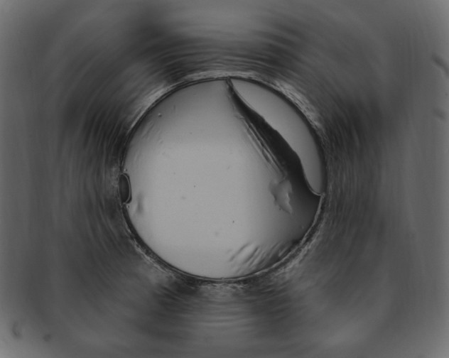 X0000091371185200709071319