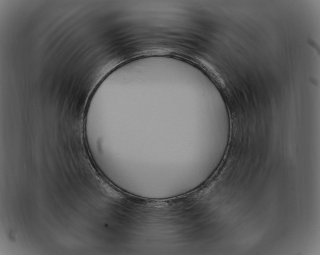 X0000091371186200709071319