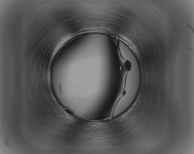 X0000091371188200709071319