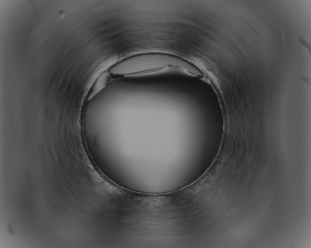 X0000091371189200709071319