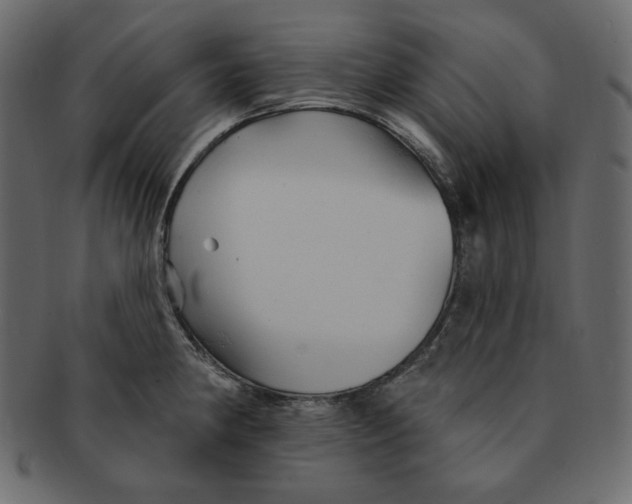 X0000091371190200709071319