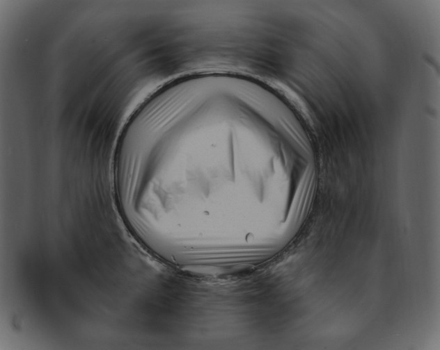 X0000091371191200709071319