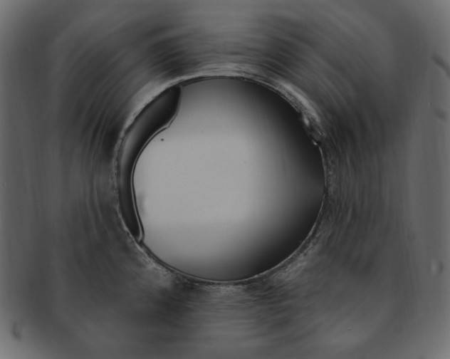 X0000091371192200709071319