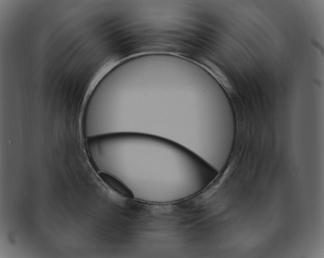 X0000091371196200709071319