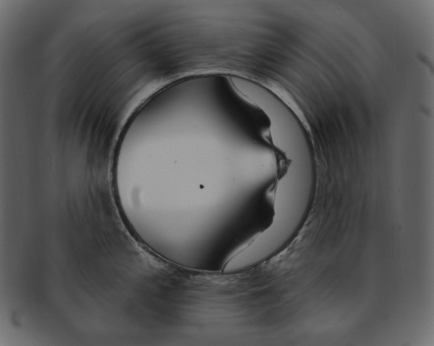 X0000091371197200709071319