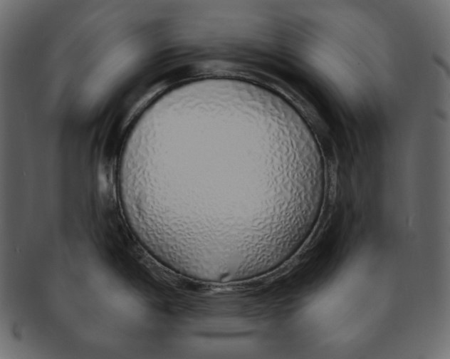 X0000091371198200709071319