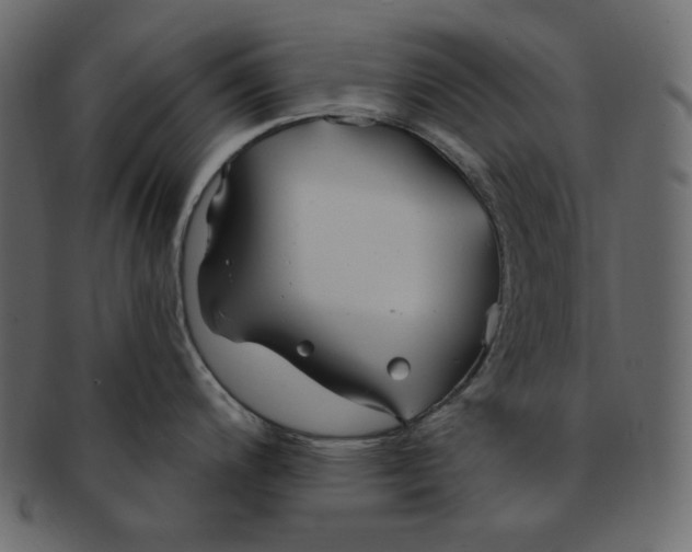 X0000091371200200709071319