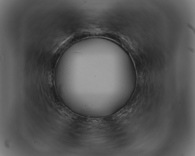 X0000091371205200709071318