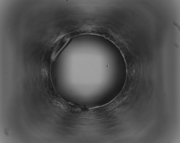 X0000091371206200709071318