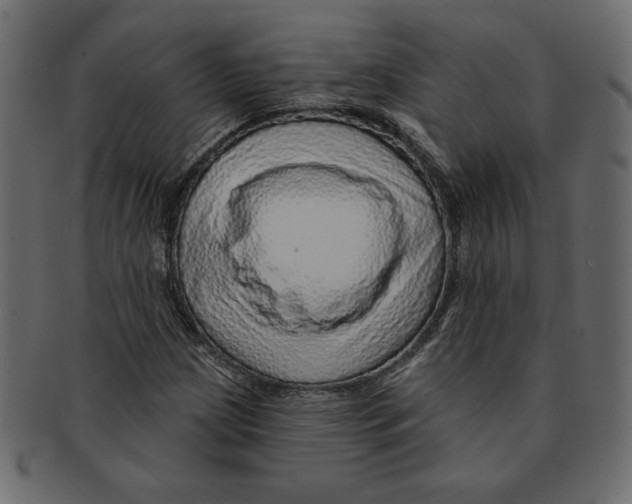 X0000091371209200709071318