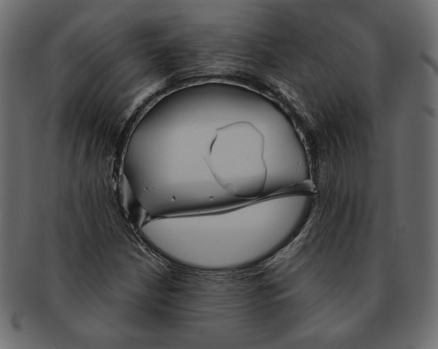 X0000091371210200709071318