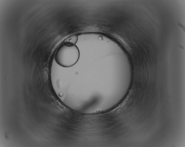 X0000091371212200709071318