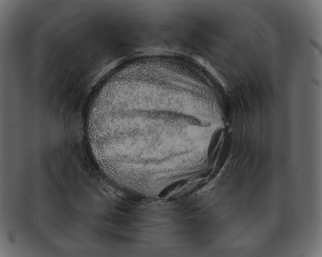 X0000091371213200709071318