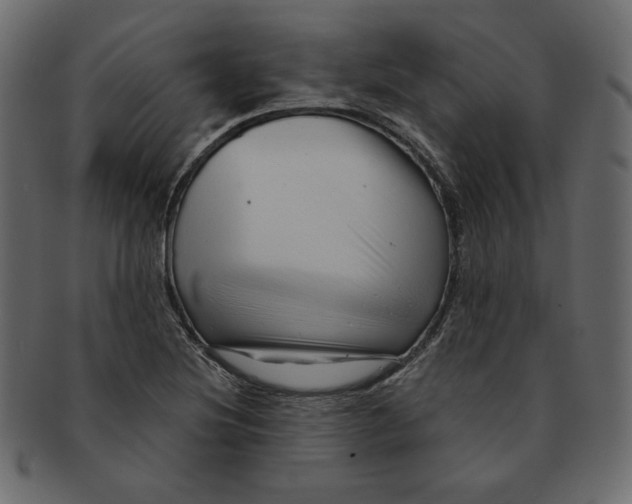 X0000091371220200709071318