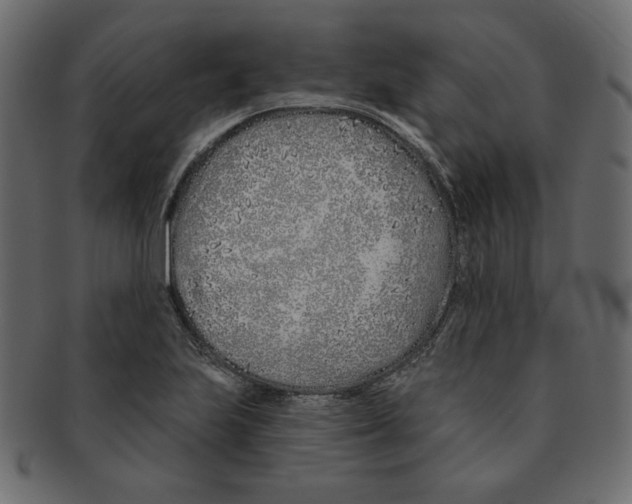 X0000091371223200709071318