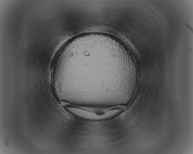 X0000091371224200709071318