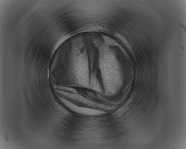 X0000091371226200709071318