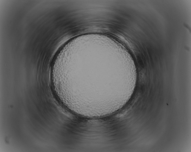 X0000091371227200709071318