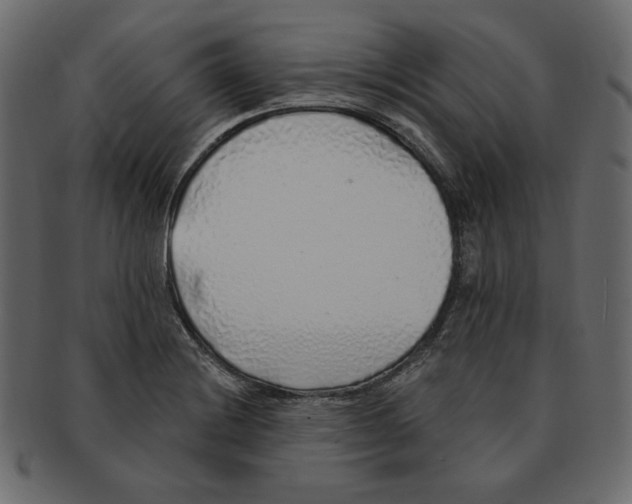 X0000091371228200709071318