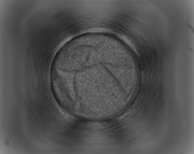 X0000091371229200709071318