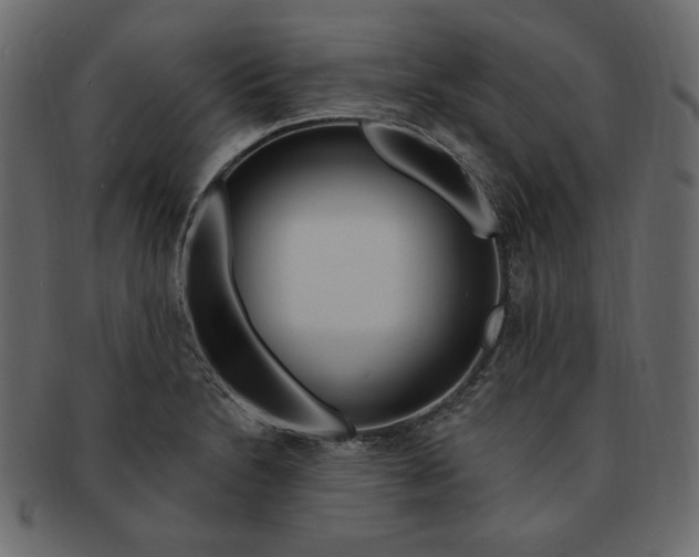 X0000091371230200709071318