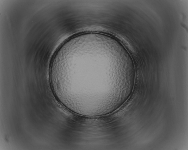 X0000091371232200709071318