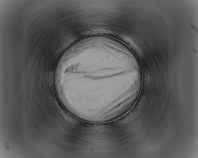 X0000091371233200709071318