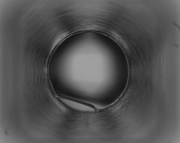 X0000091371234200709071318