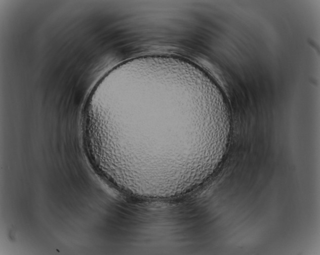 X0000091371235200709071318