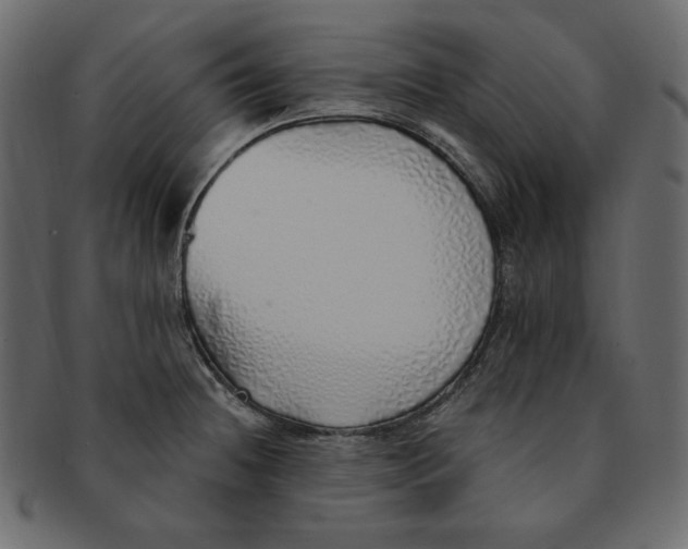 X0000091371236200709071318