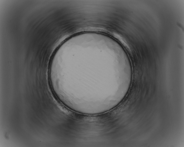 X0000091371237200709071318