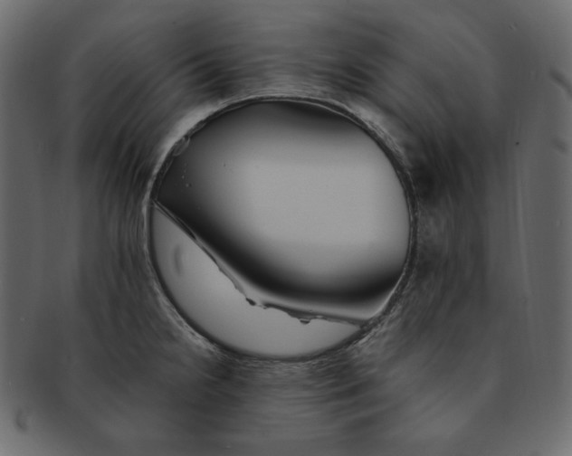 X0000091371238200709071318